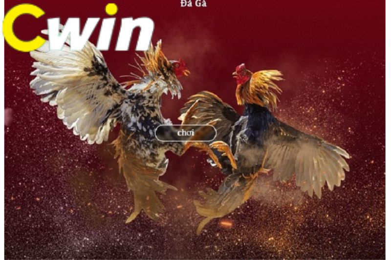 Tổng quan về các công ty game uy tín được xếp hạng Mn88 - Mn88