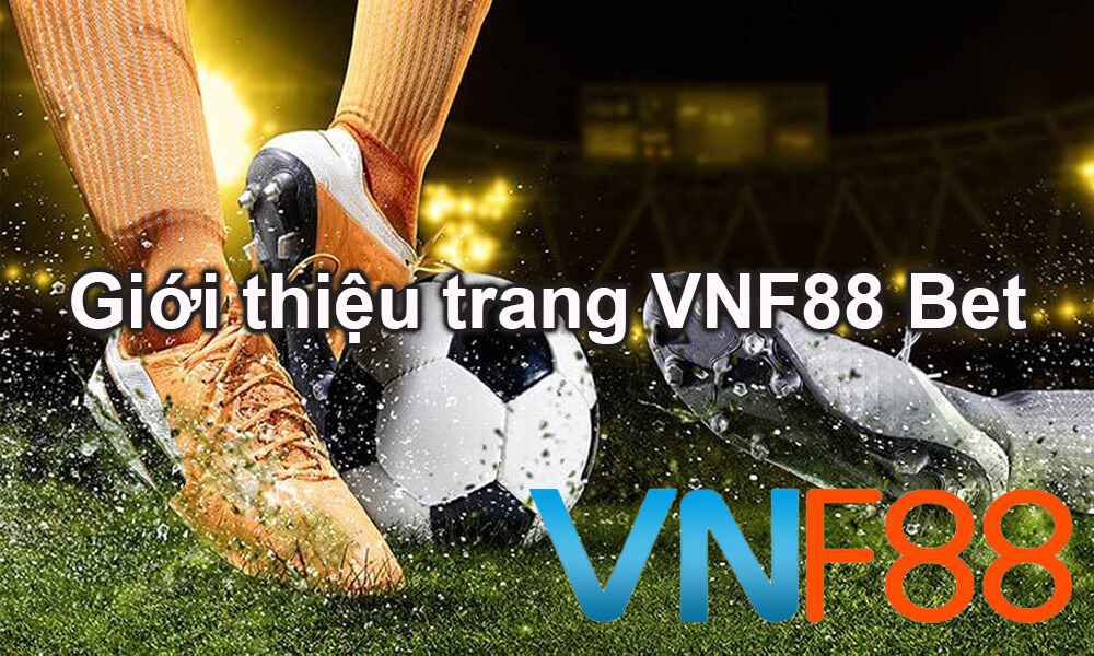 Hb888 cung cấp dịch vụ cá cược thể thao với tỷ lệ cược cực cao - Hb888