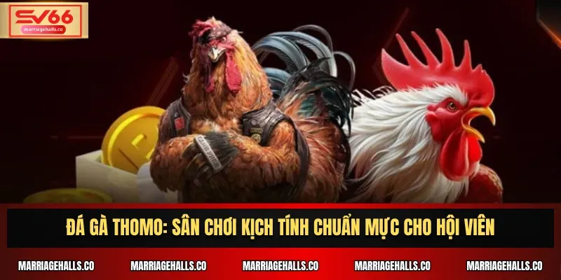 Ưu điểm của Sv368 - Sv368