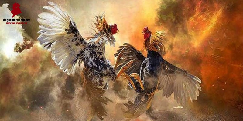 Trang web game trực tuyến hạng Sm66 sẽ tặng miễn phí 38000 nhân dân tệ - Sm66