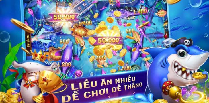Hiện có những hình thức cá cược nào dành cho các trận đấu đá gà cấp độ 777King? - 777King