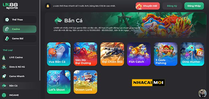 Tổng quan về trạm D9bet - D9bet