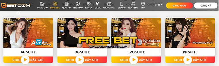 Sự chú trọng đến từng chi tiết của 78Win cũng được thể hiện qua các dịch vụ mà họ cung cấp cho người chơi - 78Win