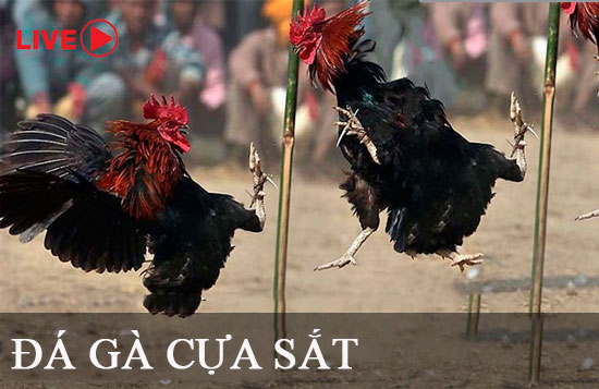 Có bằng chứng cho thấy Kimsa88 là một công ty game có uy tín - Kimsa88