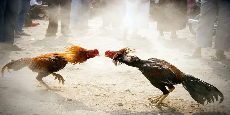Các trò chơi câu lạc bộ 789Win phổ biến nhất - 789Win