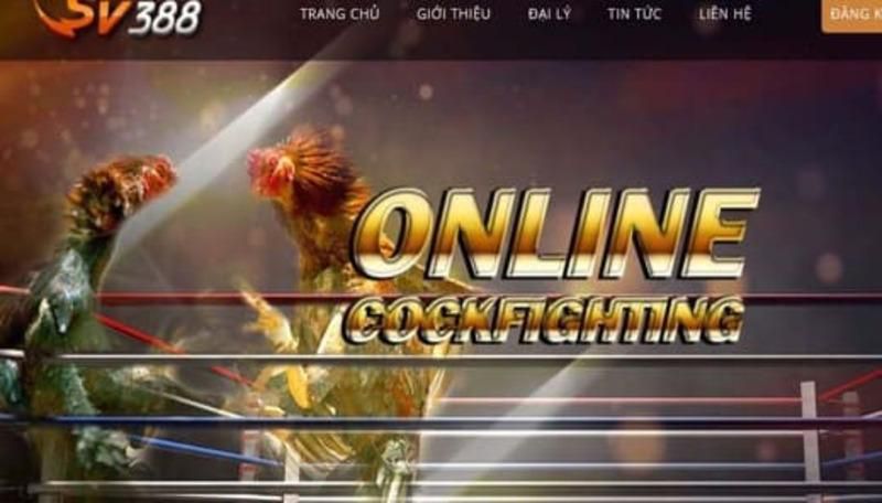 Tôi có thể rút 100000 đô la mà tôi đã nhận được từ Gk88 được không? - Gk88