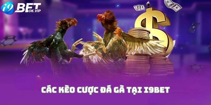 Chương trình này được cung cấp cho người chơi khi chơi các trò chơi cấp độ Bong88 có giá một đô la - Bong88