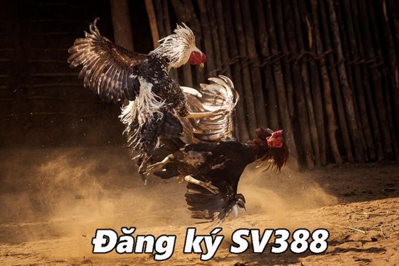 Các trò chơi máy đánh bạc thông thường, giải thưởng và quà tặng, tất cả đều được xếp hạng Mu8, đang chờ đón bạn! - Mu8