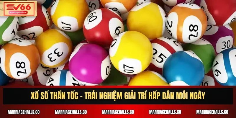 Bigbet88 cung cấp những dịch vụ độc đáo nào? - Bigbet88