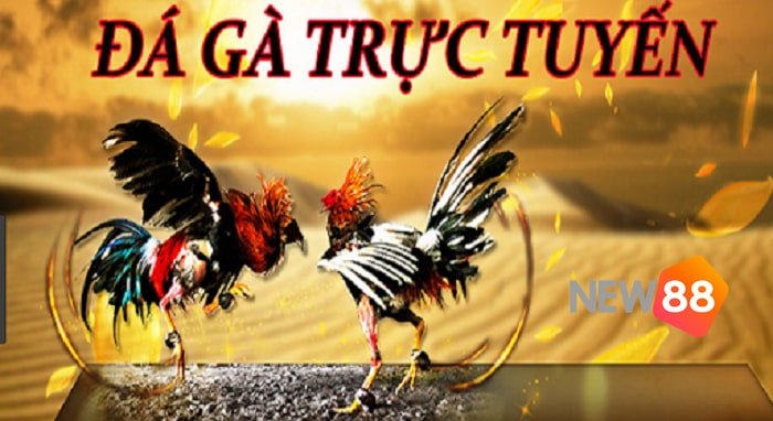 Hướng dẫn chi tiết các bước đăng ký 777King - 777King